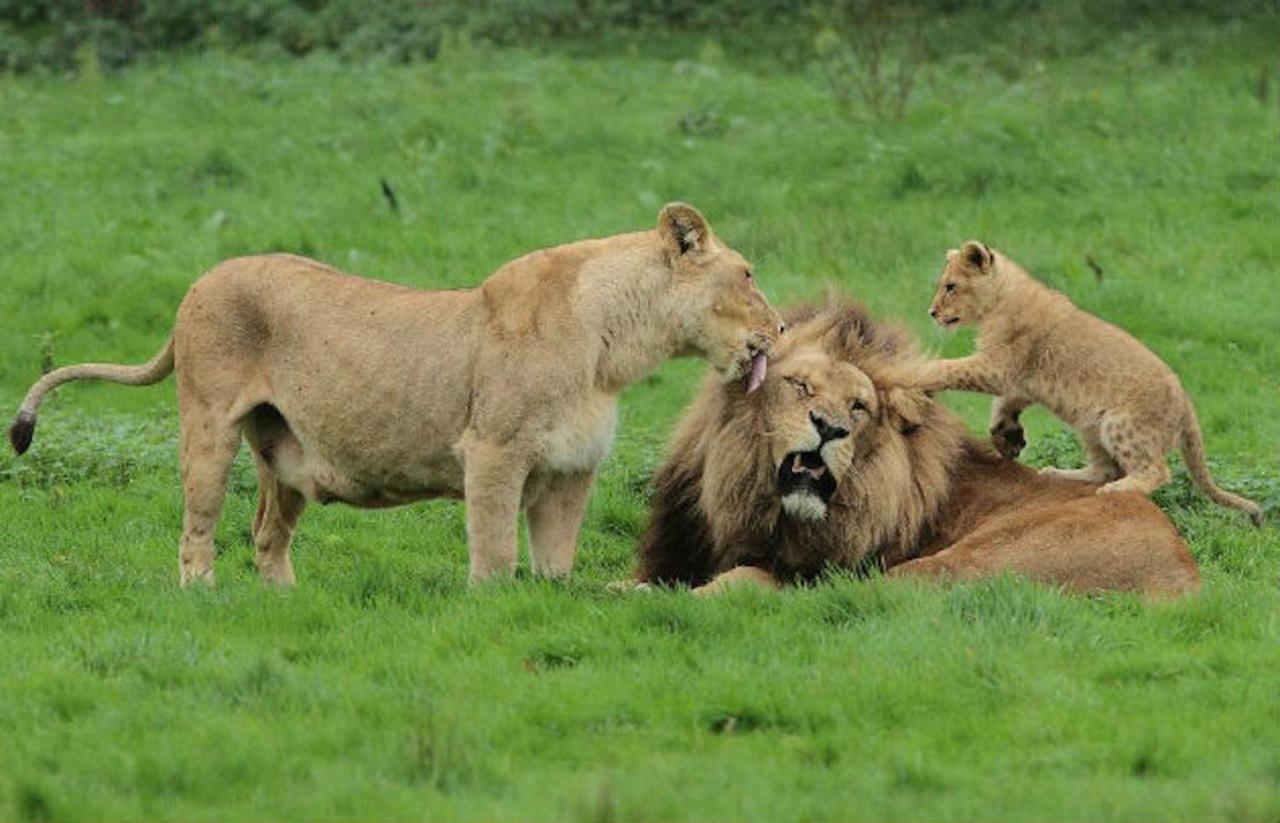 La Brie A 15Mn De Disneyland Et Village Nature Neufmoutiers-en-Brie Zewnętrze zdjęcie