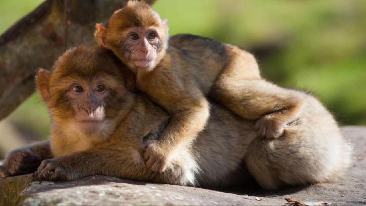 La Brie A 15Mn De Disneyland Et Village Nature Neufmoutiers-en-Brie Zewnętrze zdjęcie